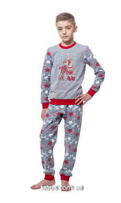 Детская пижама для мальчика утепленная Ellen BNP 027/001*